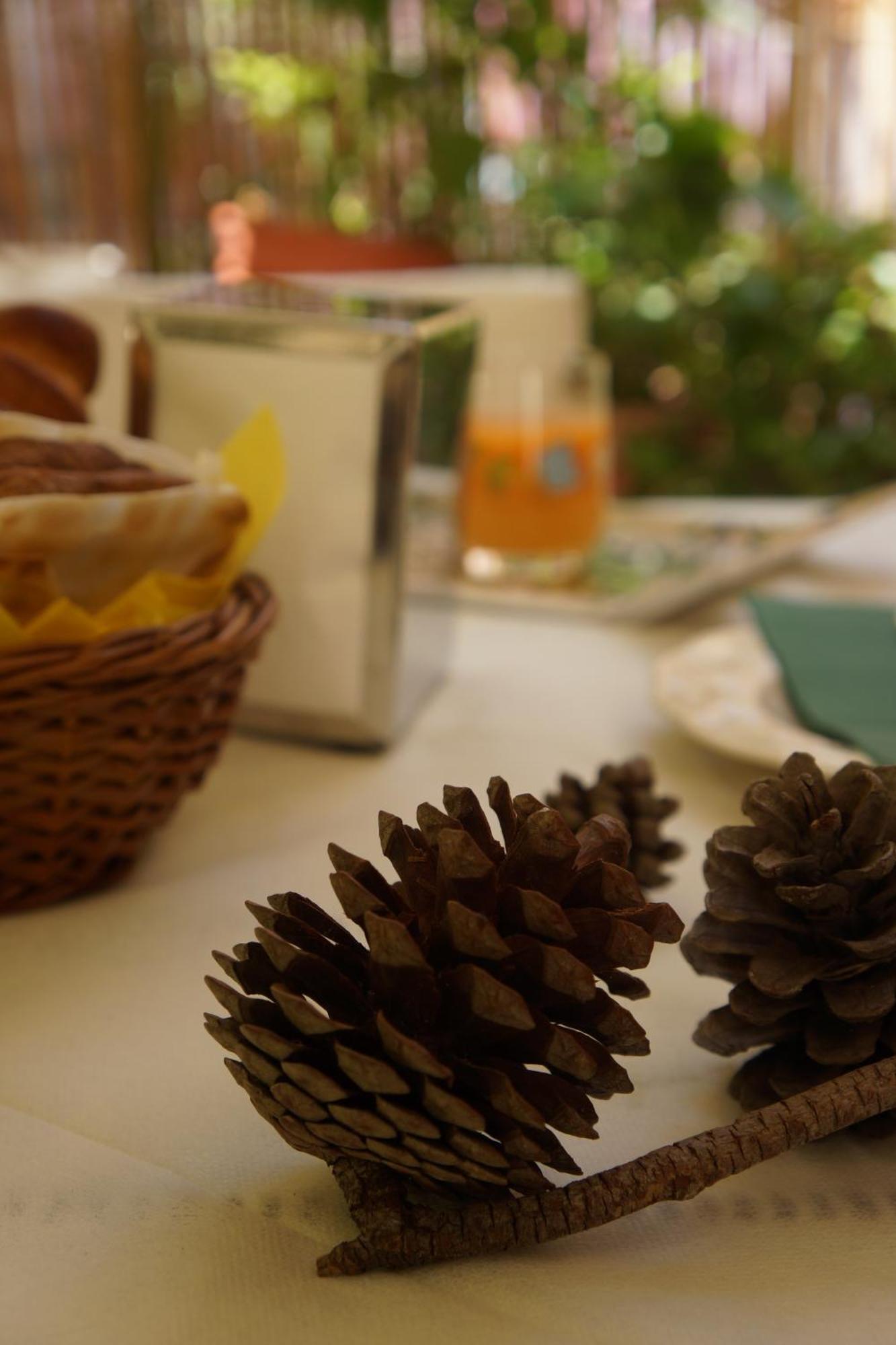 Santa Caterina Da Siena B&B Catania Ngoại thất bức ảnh